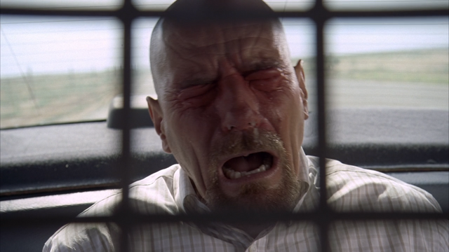 File:3x2 Walt peppersprayed.png