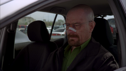 4x13 - Walter coche
