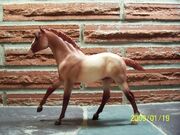 Actionfoal