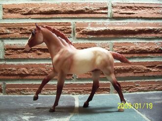 Actionfoal