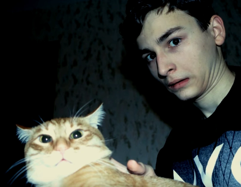 Тигра Brian Maps вики Fandom