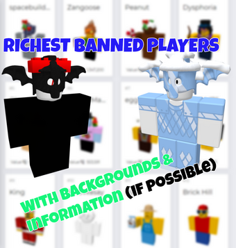 Richest Banned Players Brick Hill Leaks Wiki Fandom - rich players on roblox list