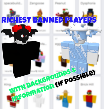 Richest Banned Players Brick Hill Leaks Wiki Fandom - richest player in roblox list