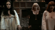 Gif 351x193 465744