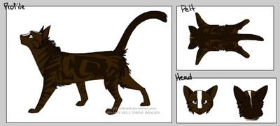 Bramblepaw