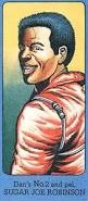 Sugar joe