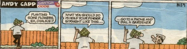 andy capp wiki
