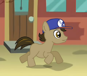 Mlp oc coltrider