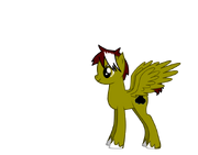 ThunderFlash