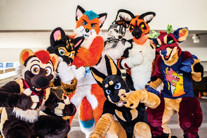 Furries | Brony Land -Español- Comunidad Brony & Furry Wiki | Fandom