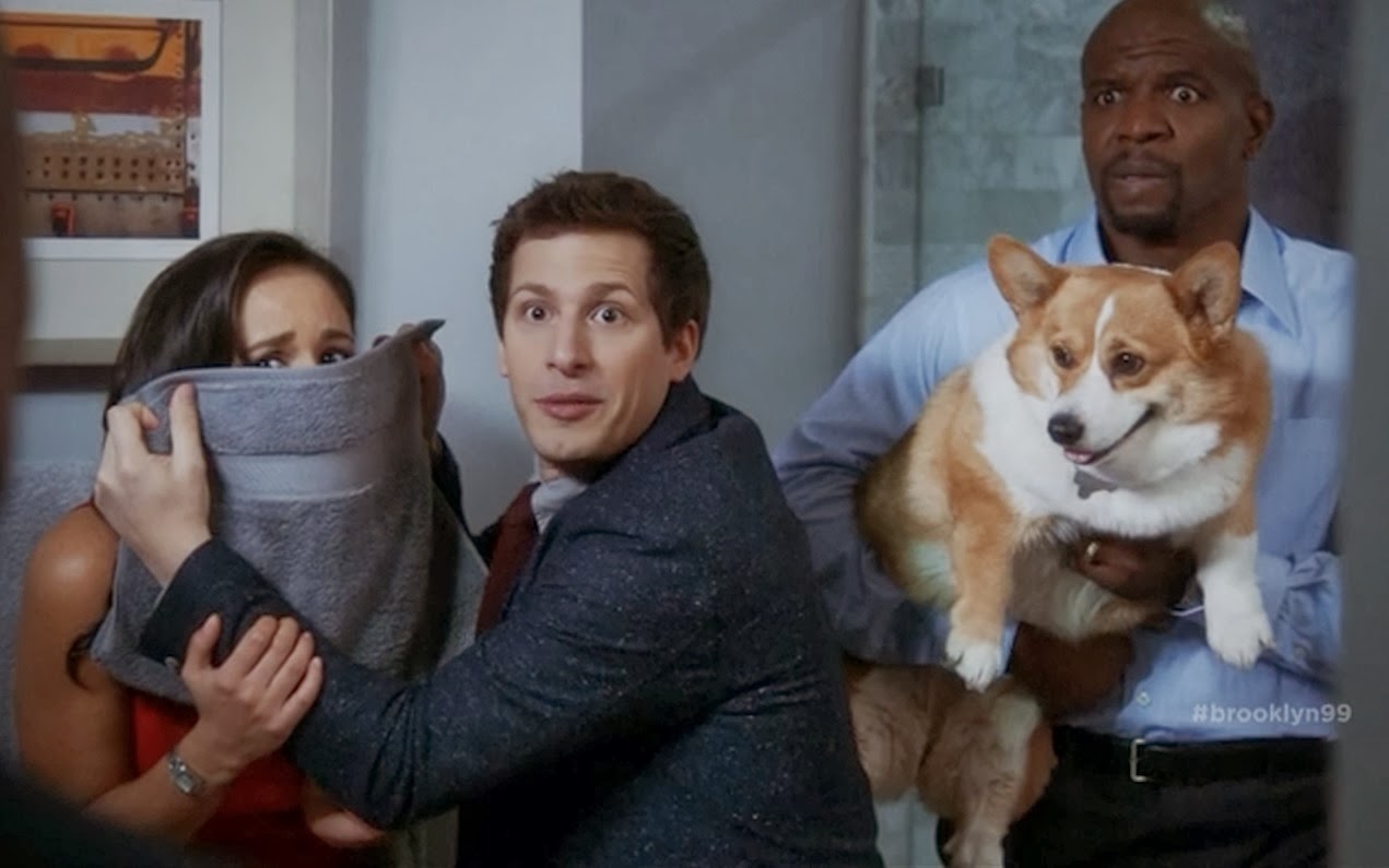 The Party | Brooklyn Nine-Nine Wiki | Fandom