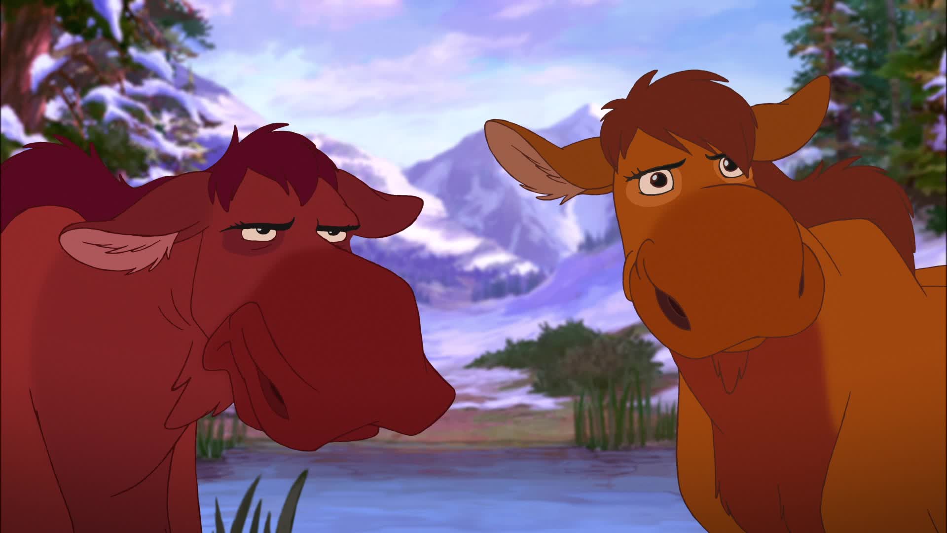 Kata Brother Bear Wiki Fandom