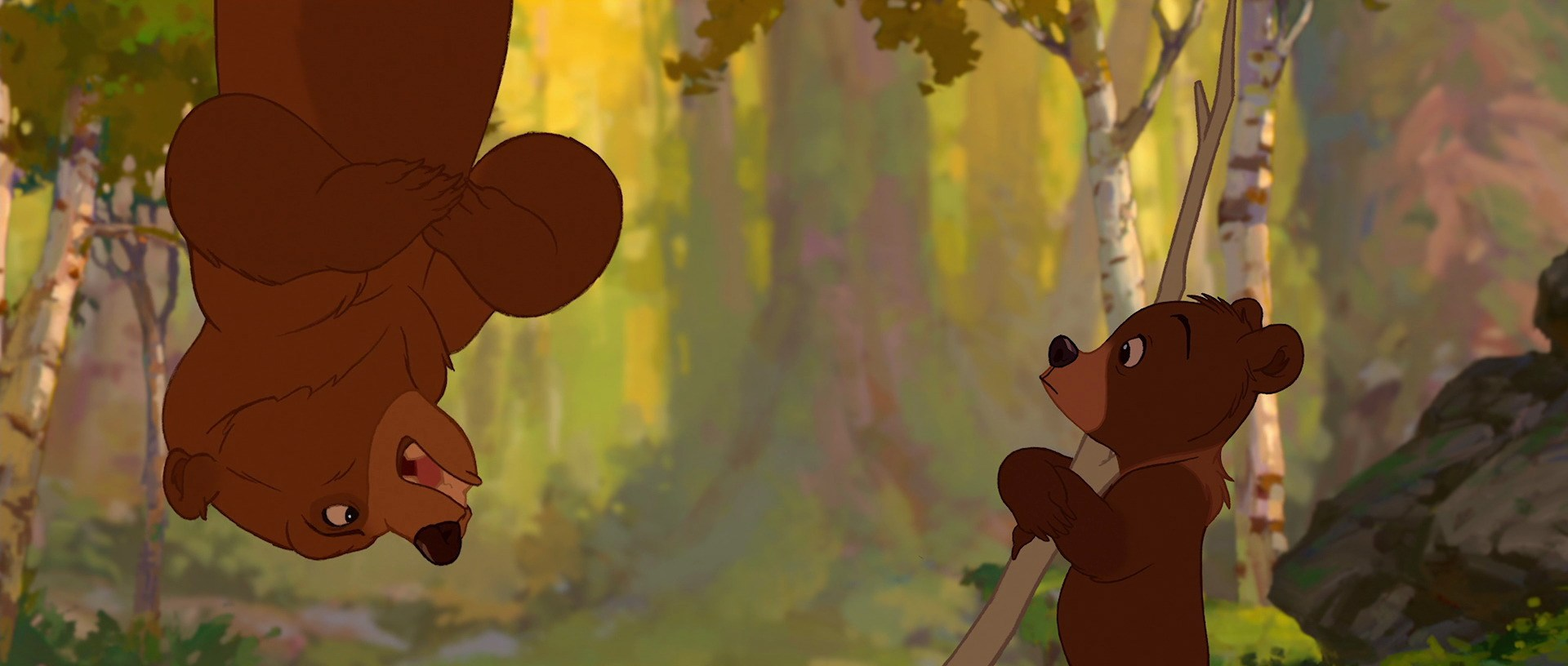 Meets Koda Brother Bear Wiki Fandom