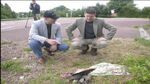 Gearbox at Dead Man's Corner (4)
