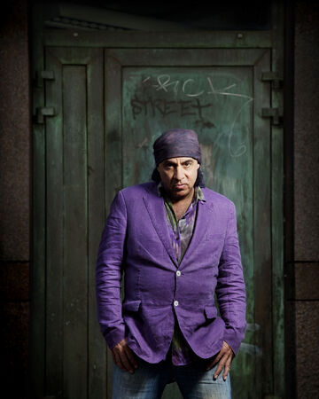 Steven Van Zandt Bruce Springsteen Wiki Fandom