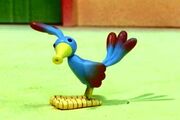 Bird