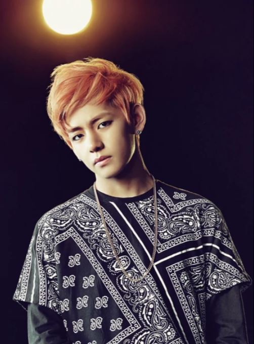 V Kim Taehyung Bts Wiki Fandom