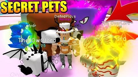 Video All Secret Pets Owolord Dogcat Leviathan And Overlord In - file history