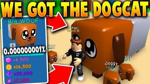 Video We Got Given The Secret Dogcat Pet Only One In The - roblox bubble gum simulator secret pets
