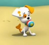 Bubble puppy sizzlie