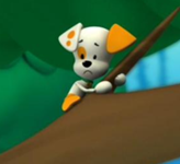 Season 2 bubble puppy