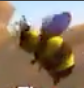 Screen Shot 2018-07-18 at 1.52.58 PM