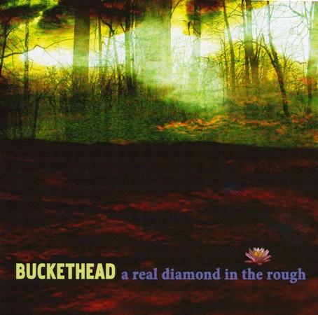 buckethead discography wiki buckethead discography wiki