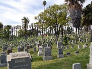 Angelus cemetery