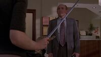 Snyder 2x22