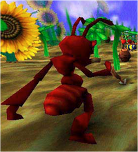 Fire ant