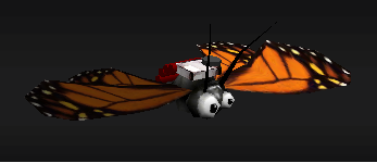 Butterfly