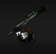Spider Ninja