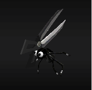 Assassin Bug