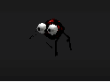 Baby Spider