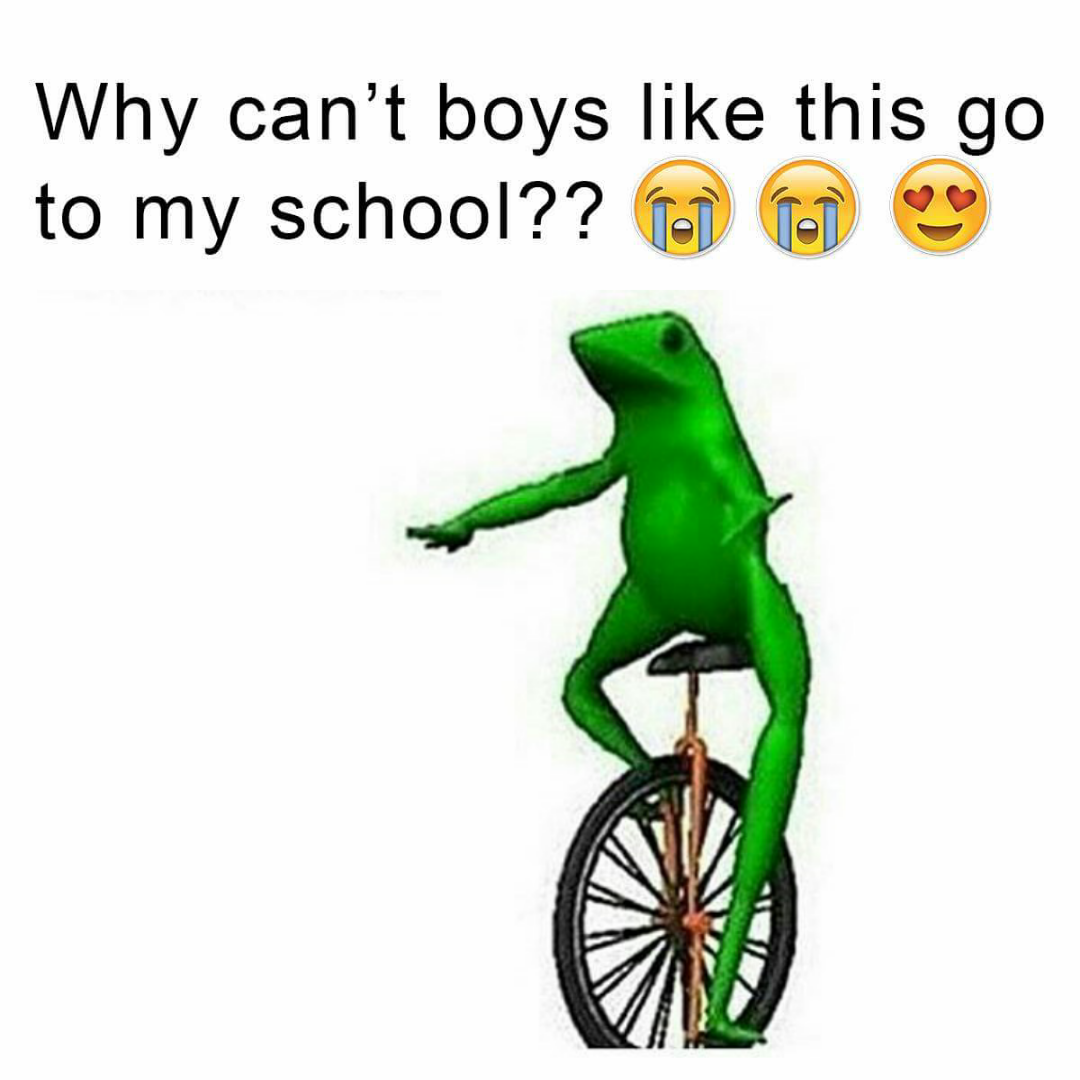 Image - Dat boi school.png | He-Gabe Wiki | FANDOM powered ...