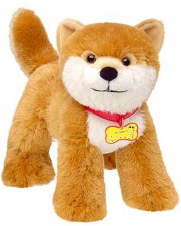 shiba teddy bear