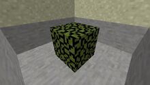 LeafBlock