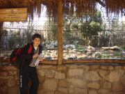 Buin zoo vicente 025