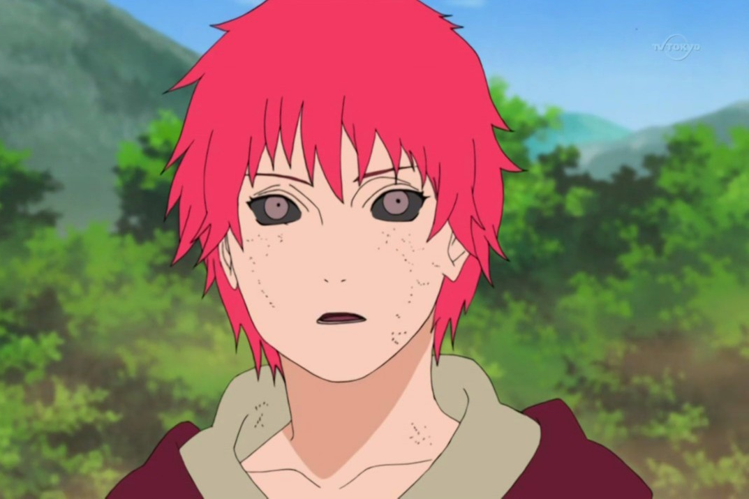 Sasori Sasori