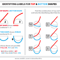 Breast Shape Bustyresources Wiki Fandom