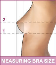 How To Determine Bra Size Bustyresources Wiki Fandom