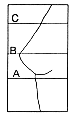 Size lines