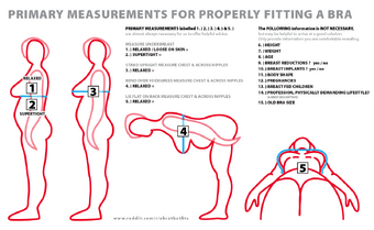 transgender bra fitting