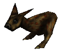 Nalirabbit