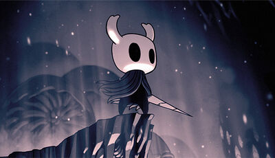 Hollow Knight