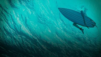 'The Shallows': Script to Screen