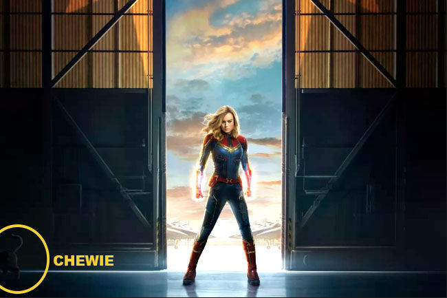 Chewie Cat Captain Marvel