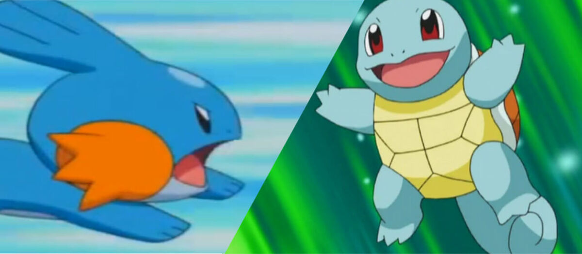 Squirtle vs Mudkip