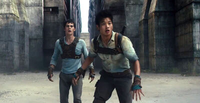Esposito: 'Maze Runner' sequel filming resumes May 15