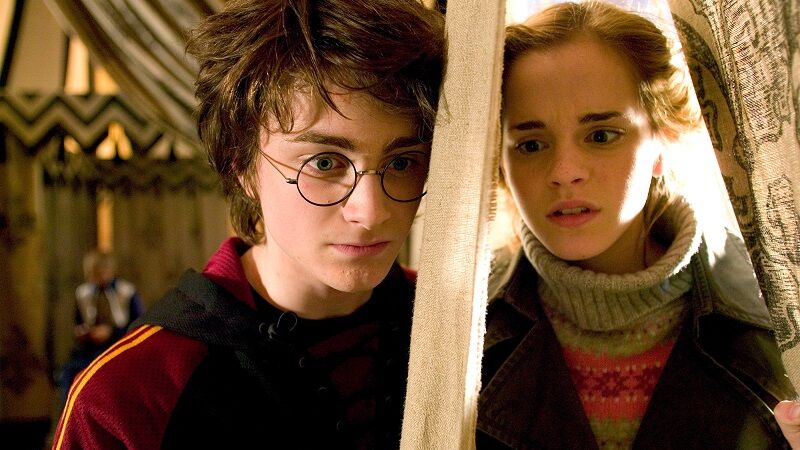 Would Harry and Hermione have made a good couple?